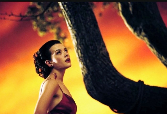 Кадр из фильма Дракула 2000