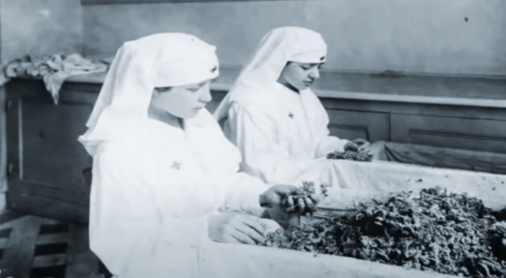 Процесс обработки того самого спасительного мха