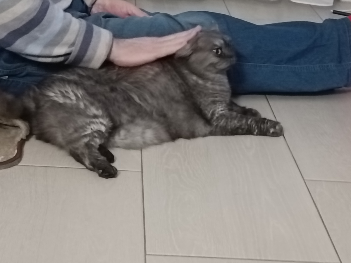 Вот, видите рукав? Это рукав того самого свитера 🤦‍♀️