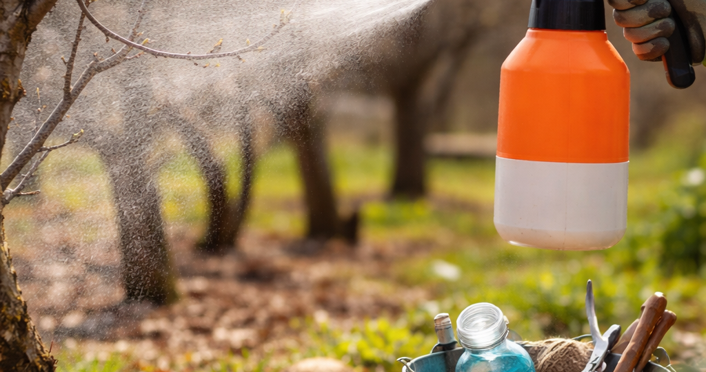 Обработайте сад до распускания почек — и забудьте о вредителях на весь сезон