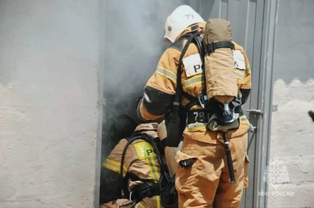    22 февраля в Ростовской области в пожаре погибли два человека