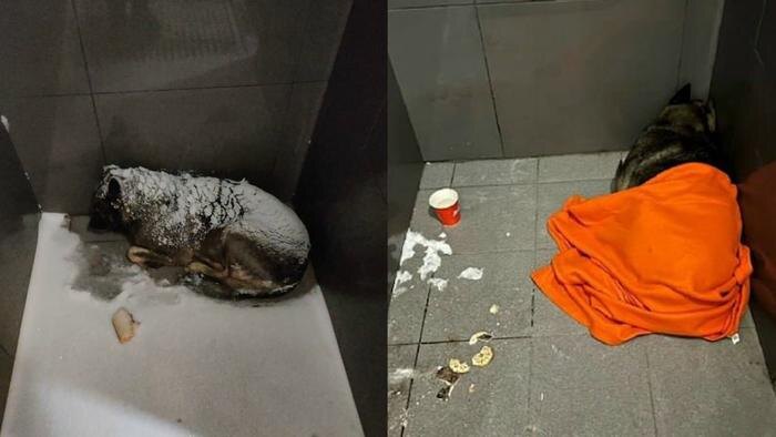 Обложка © SHOT