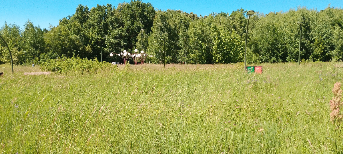 В лесу гуляю, не штурмую его. Потому что люблю