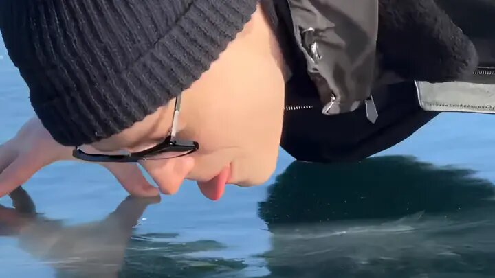 Telegram-канал SHAMAN