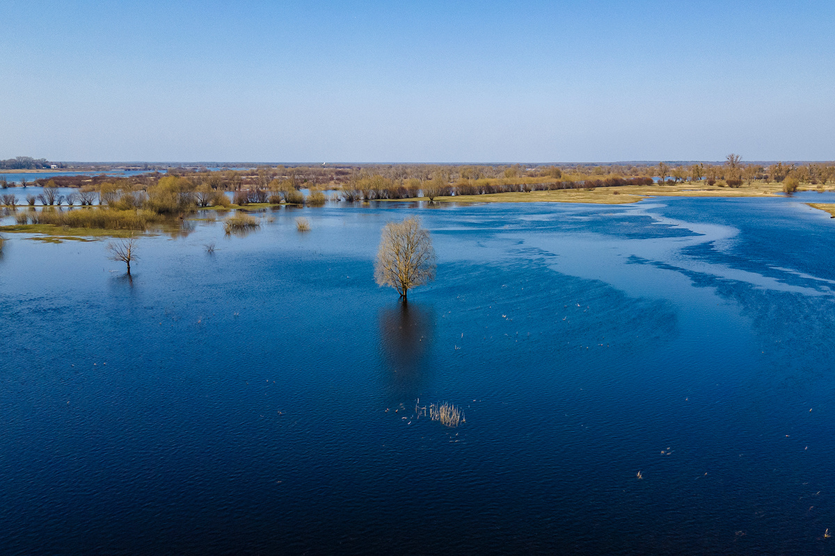    Фото: kalyanby / Shutterstock.com