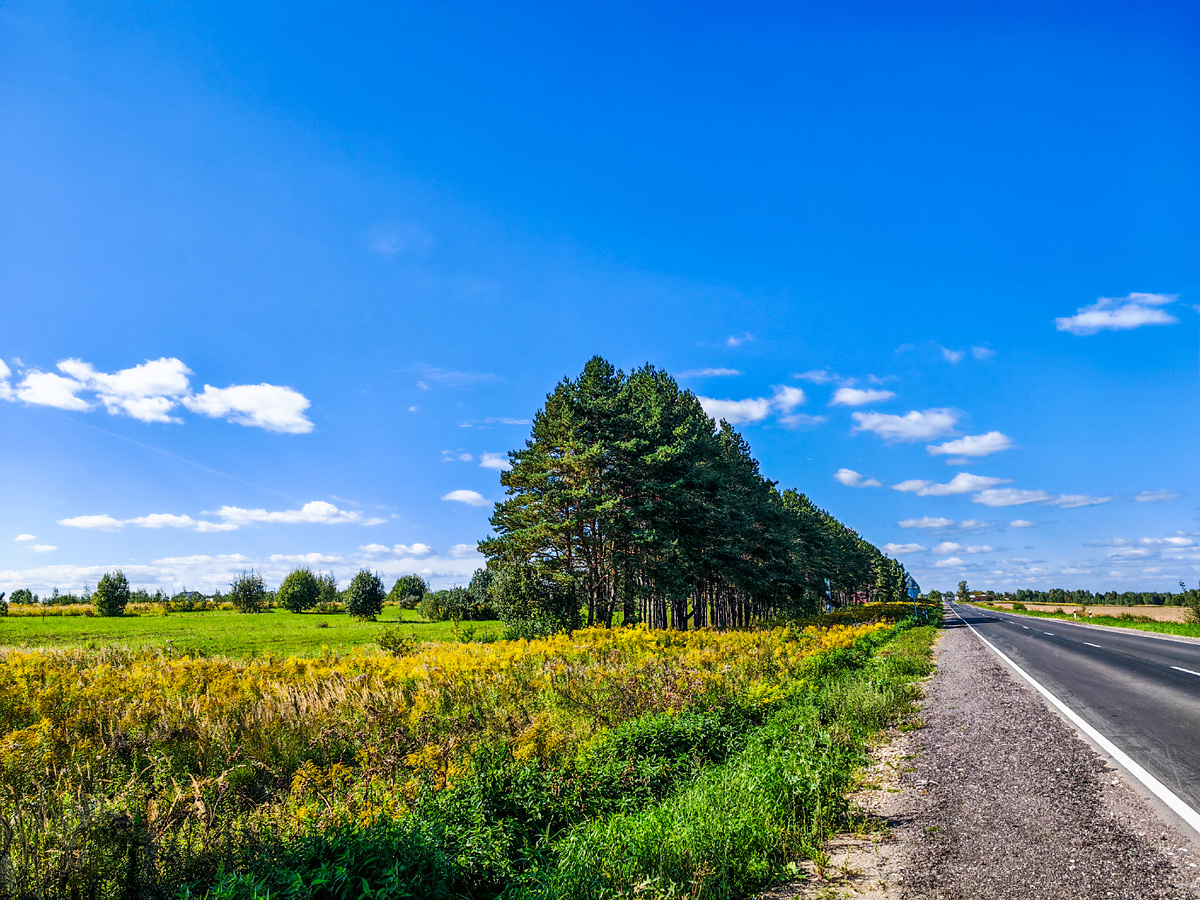 Дорога, ведущая от железнодорожной станции Гороховец до города