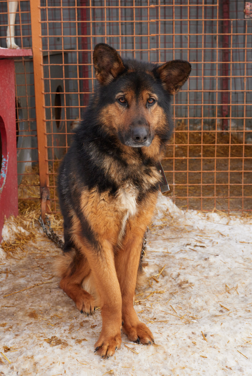 Все трудности и боль остались позади...