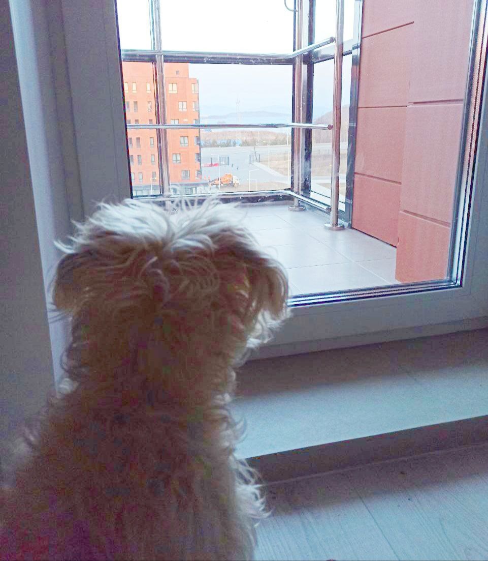 Будьте точны в своих желаниях