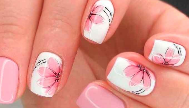 *Фото без авторства из открытых источников