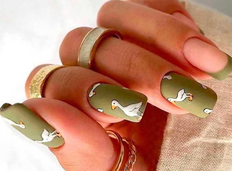 *Фото без авторства из открытых источников