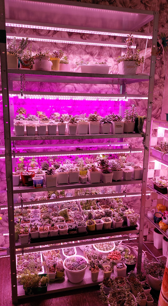 Это мой самый большой стеллаж