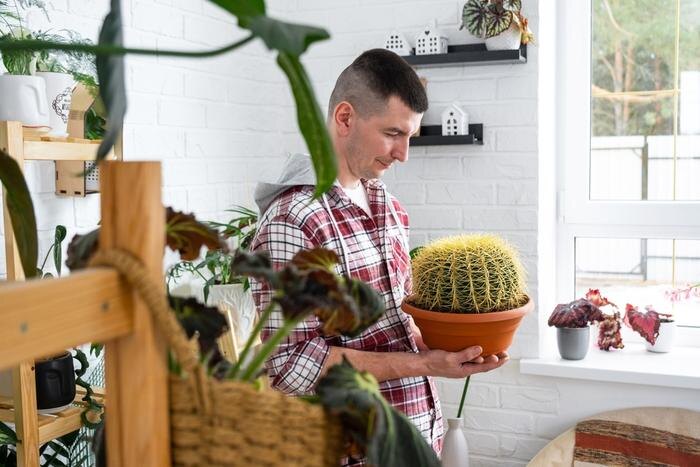 Обложка © Shutterstock / FOTODOM / Simol1407