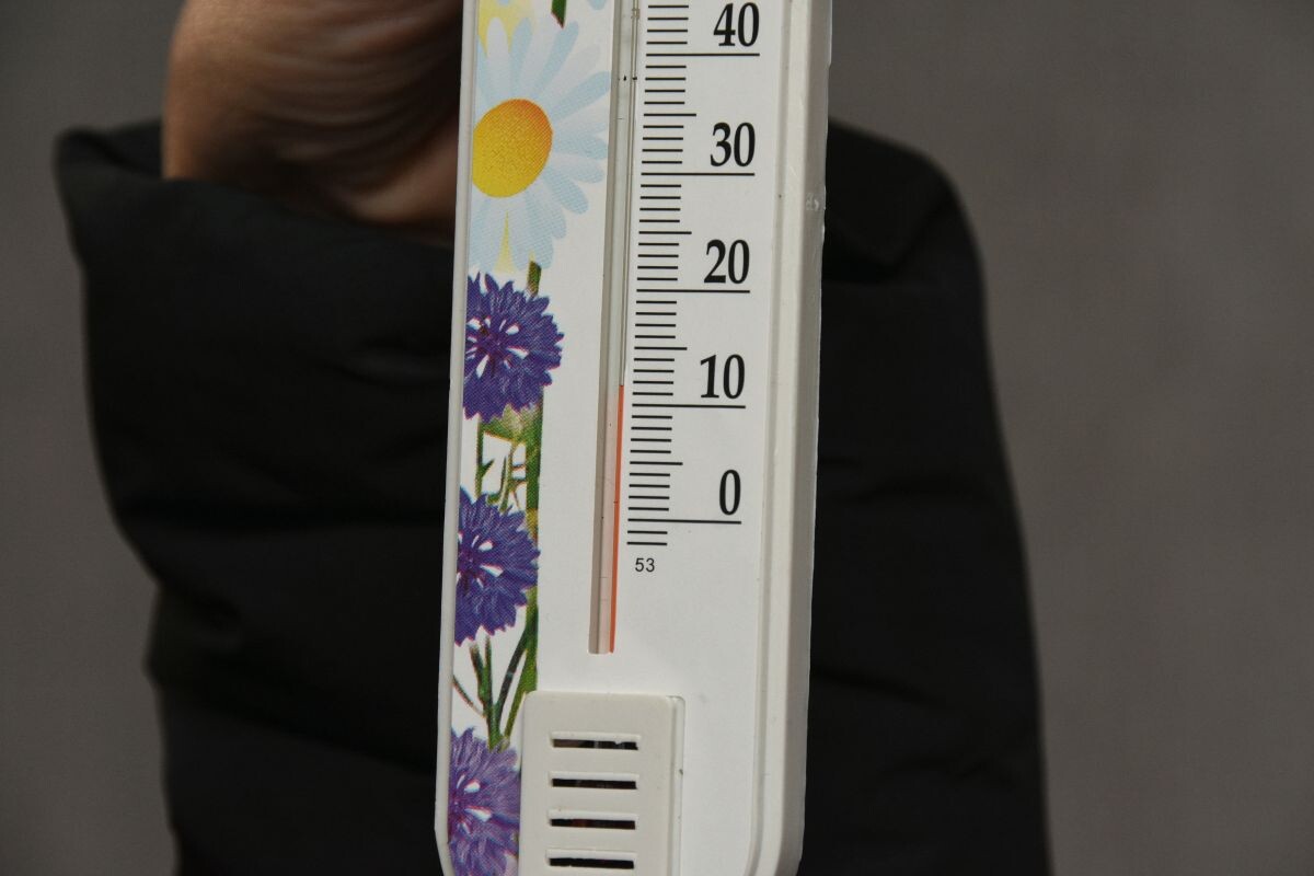    Фото: Александр Зинченко