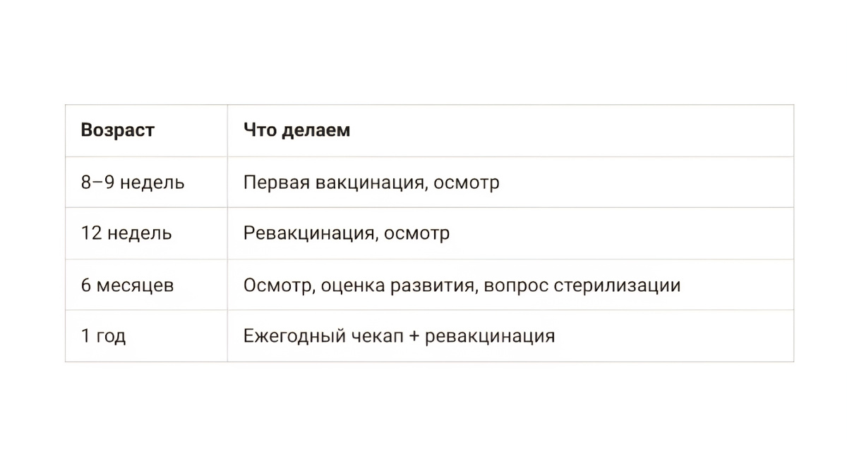 График визитов для щенков и котят