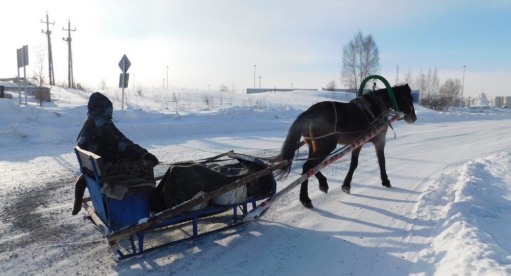 Морозы ниже минус 30 градусов на неделе с 23 февраля прогнозируют в Новосибирской области