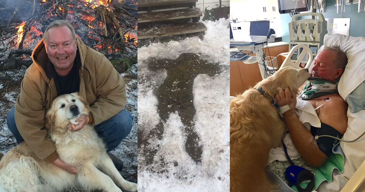 McLaren Northern Michigan