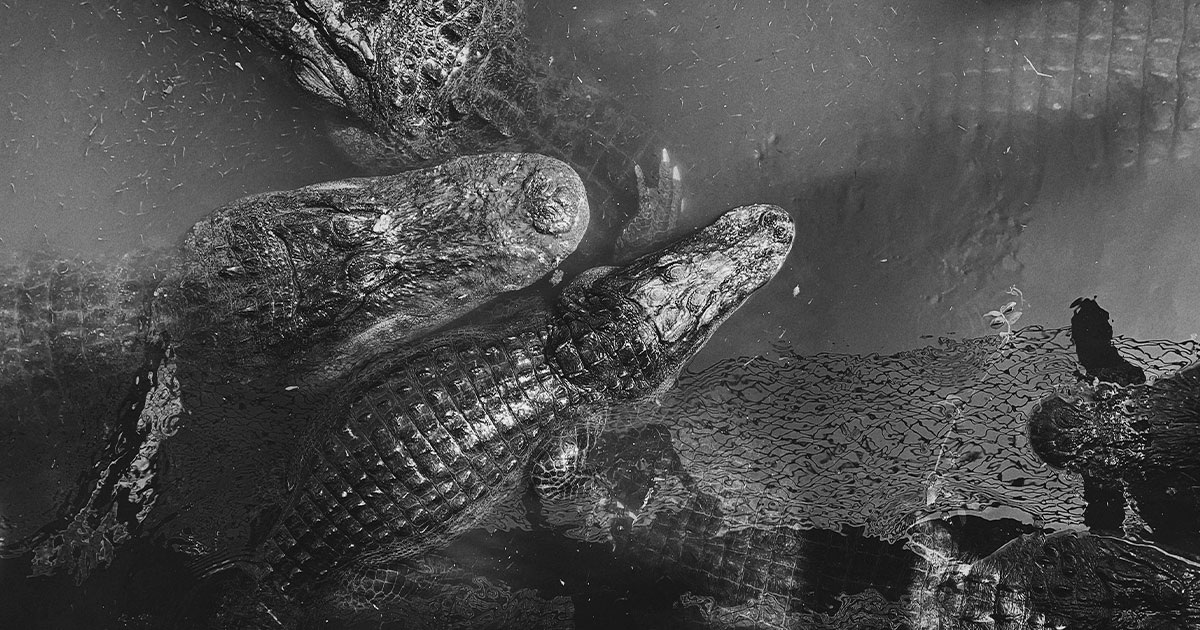 Tommy Bond / Unsplash