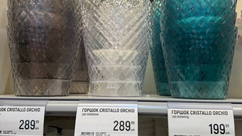 В Глобусе красивые горшки появились для орхидей