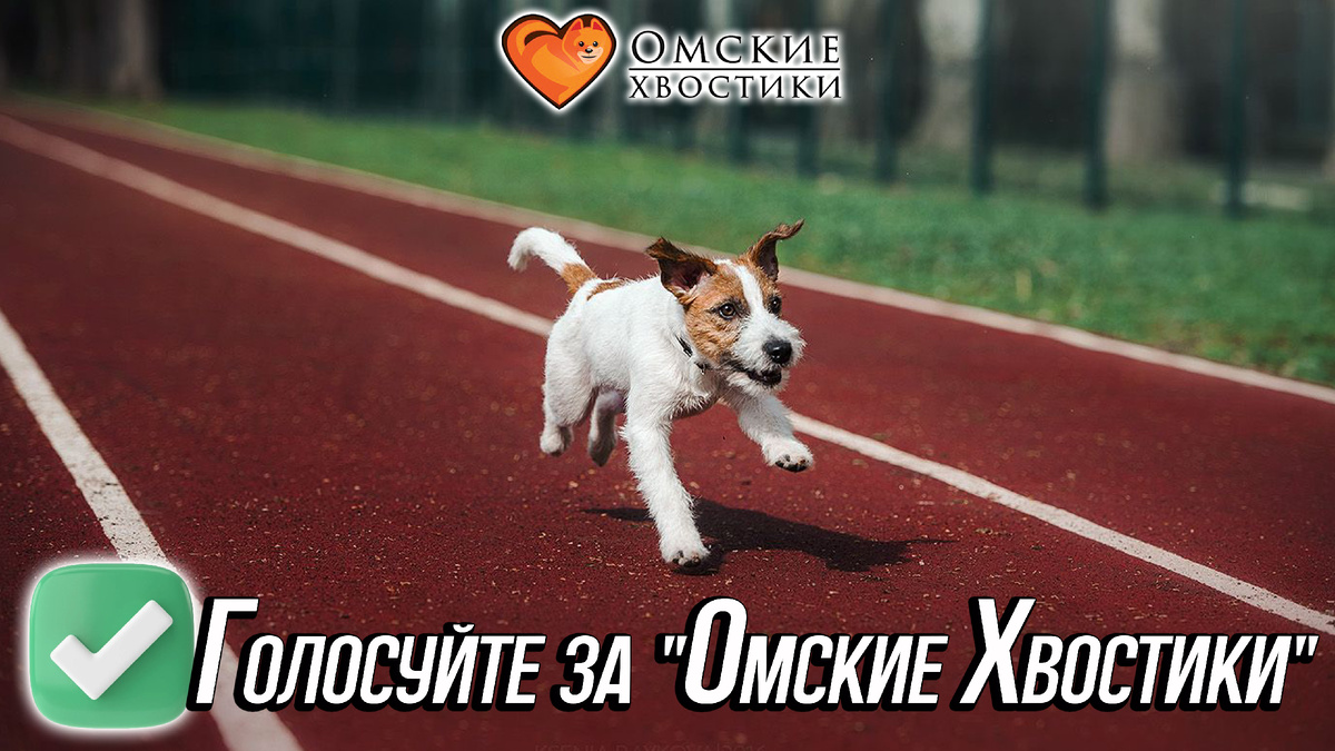 Мы с вами вышли на финишную прямую! До завершения народного голосования осталось ВСЕГО 7 ДНЕЙ!