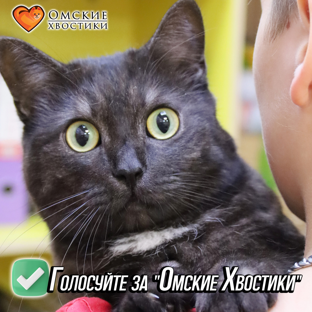 Ваш голос важен как никогда!