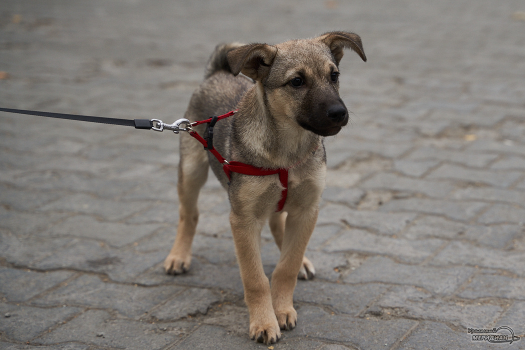    Фото: Лидия Аникина © ИА "Уральский меридиан"