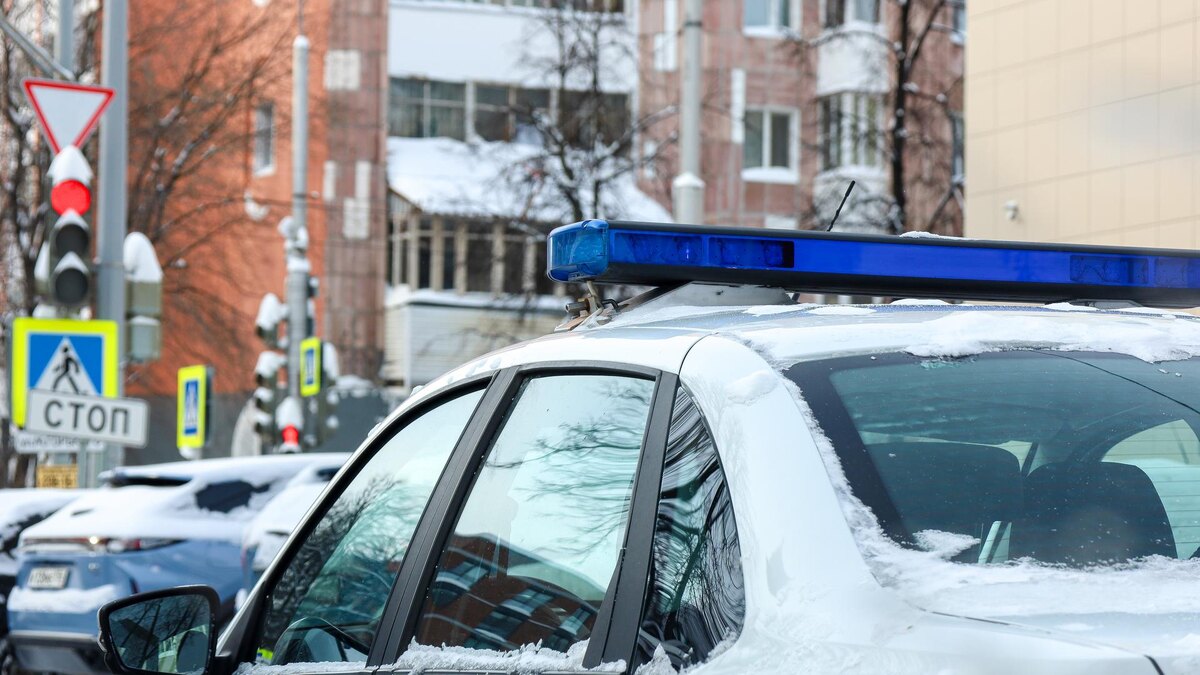    Фото: Global Look Press