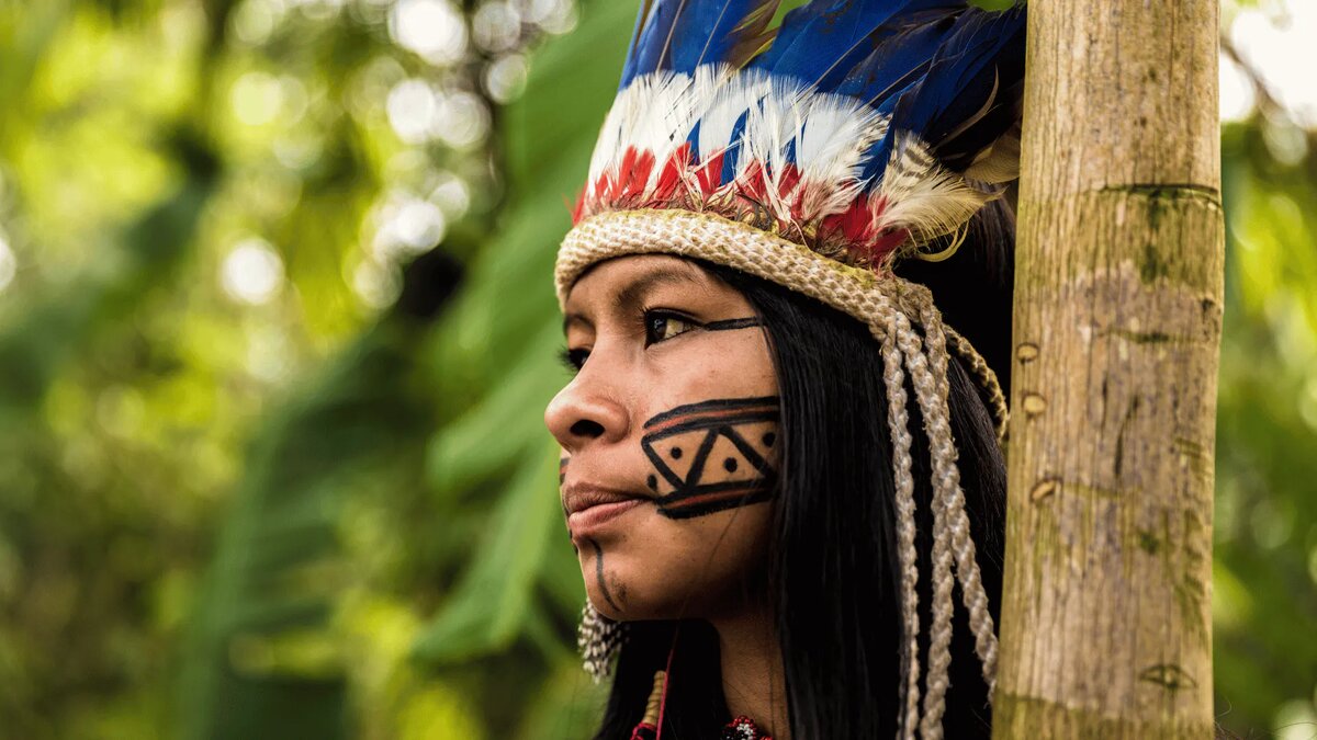 Изображение из открытых источников