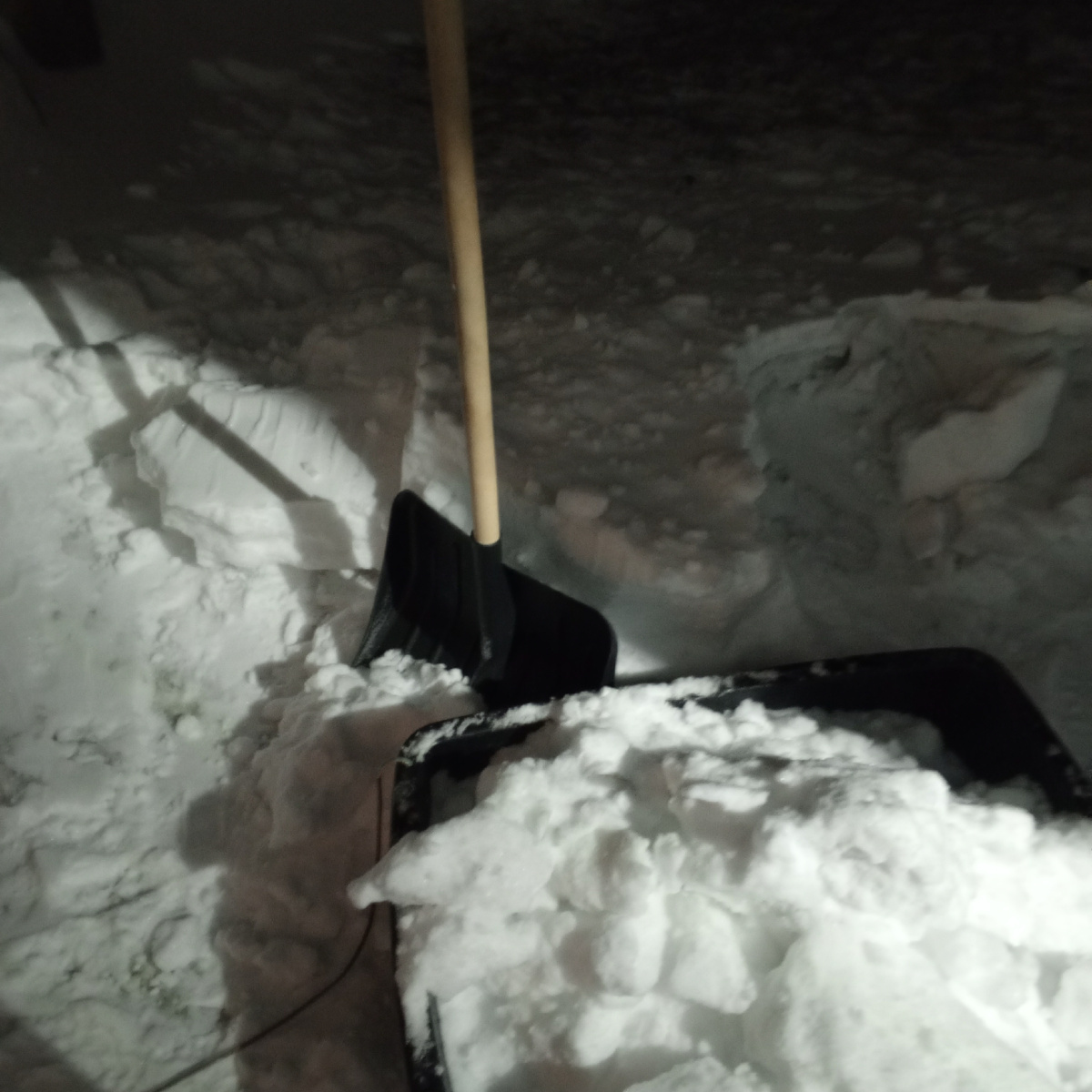 Редактирую статью) фото этого же автора)