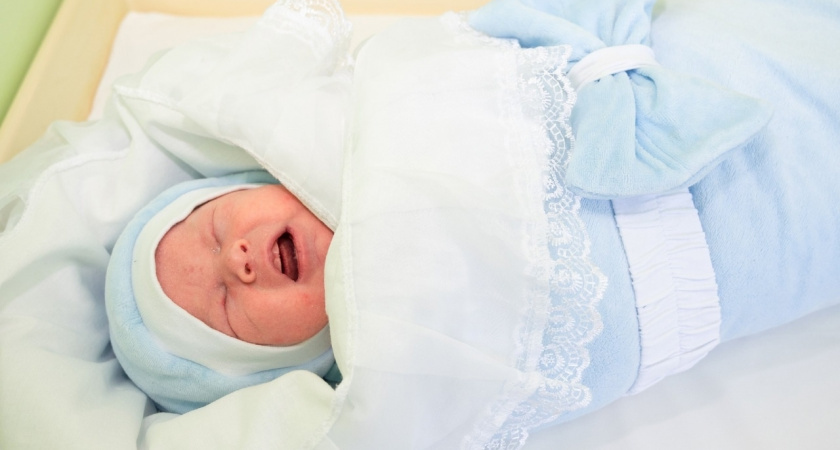    Фото: progorod43.ru