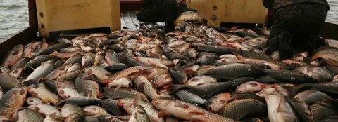 Век живи, век учись... (продолжение)