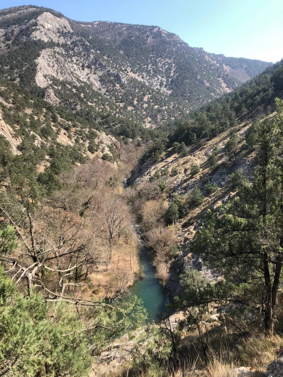 Фото автора.