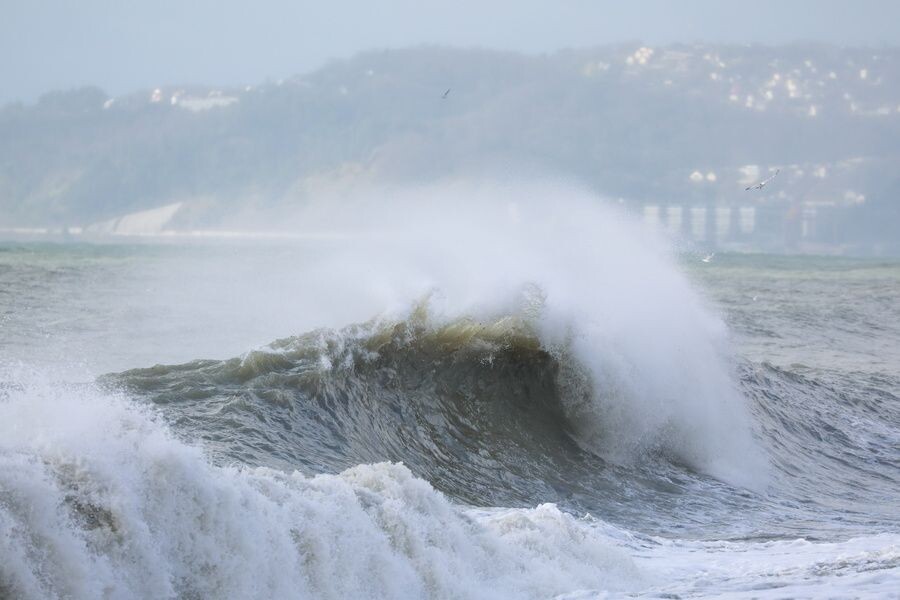     / Источник: © Дмитрий Феоктистов/ТАСС