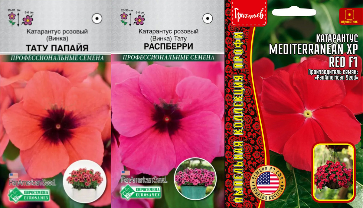 Катарантус Тату Папайя, Тату Распберри и Медитерениэм XP. Каждый пакетик содержит 5 семян  