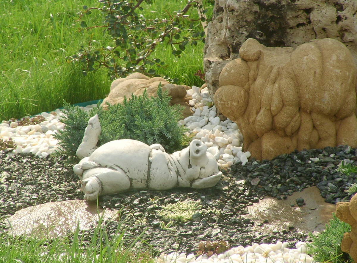 Фото собственных работ из личного архива. 