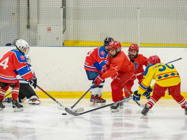     Фото: спортивная Федерация по хоккею в Тульской области