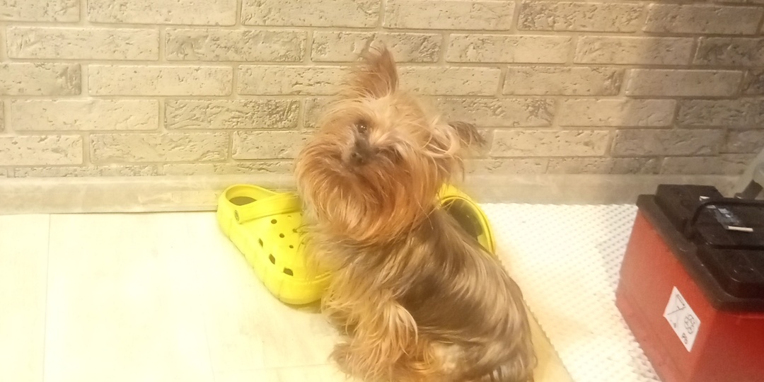 Принимать решение нужно обдуманно