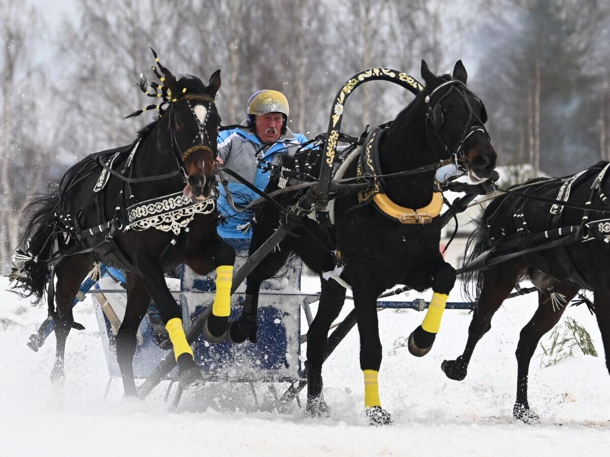    Праздник "Русской тройки" в Вологодской области | © РИА Новости / Кристина Кормилицына