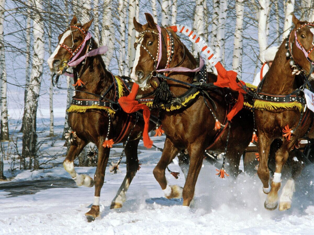    Работники колхоза "Урожай" Чистопольского района Татарской АССР во время катания на тройках | © РИА Новости / Андрей Соломонов