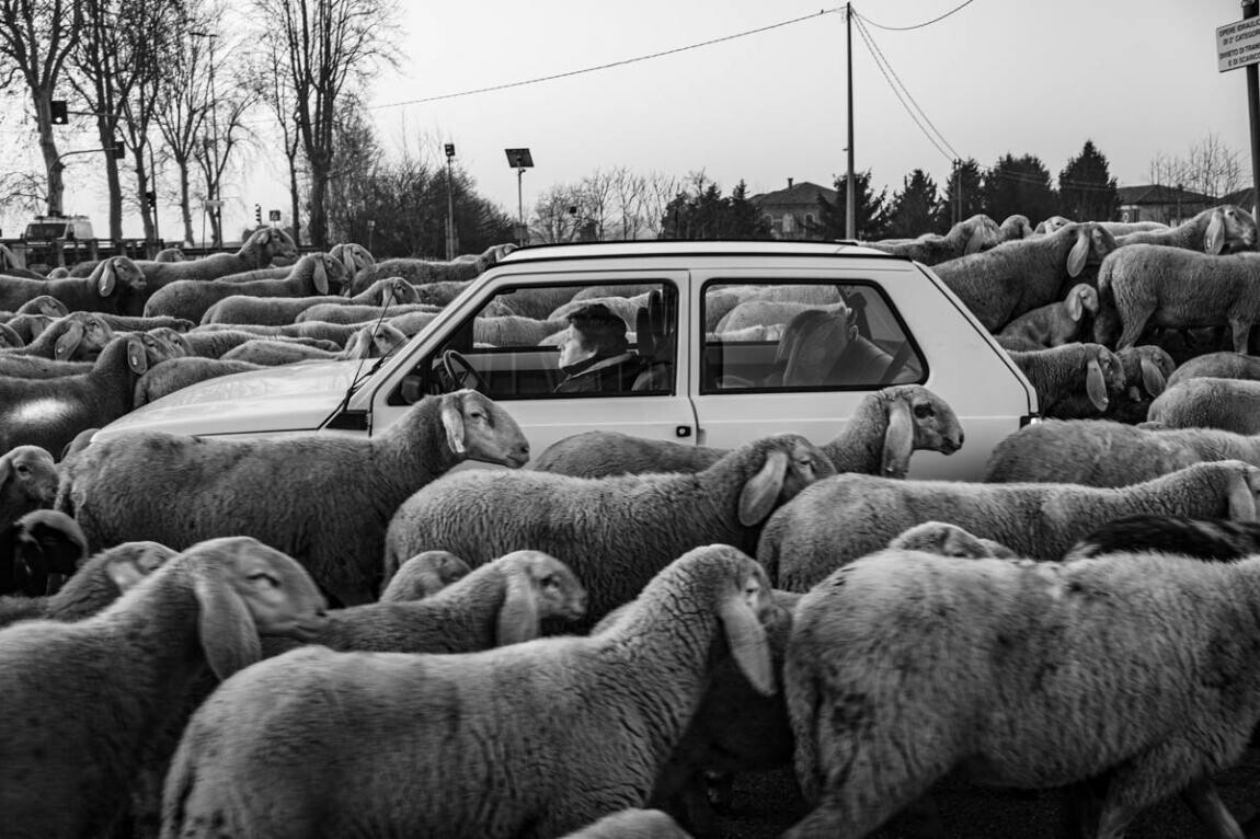 Фотограф Джулио Чезаре Гранди