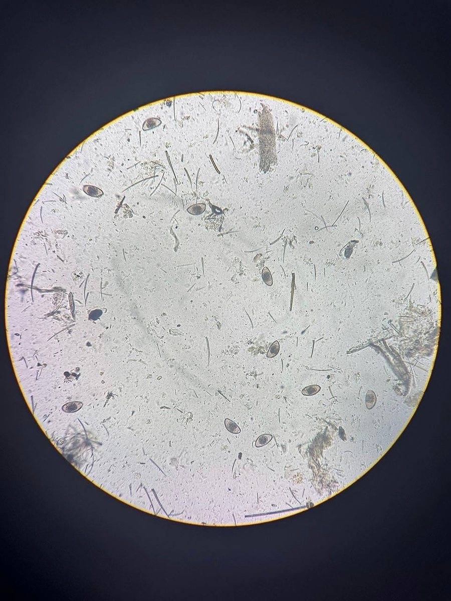 Создать карусель