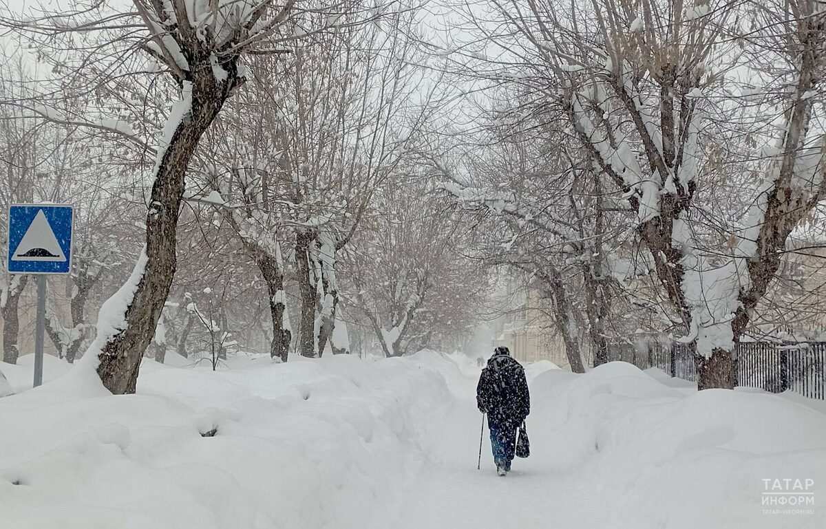 Фото: © Султан Исхаков / «Татар-информ»