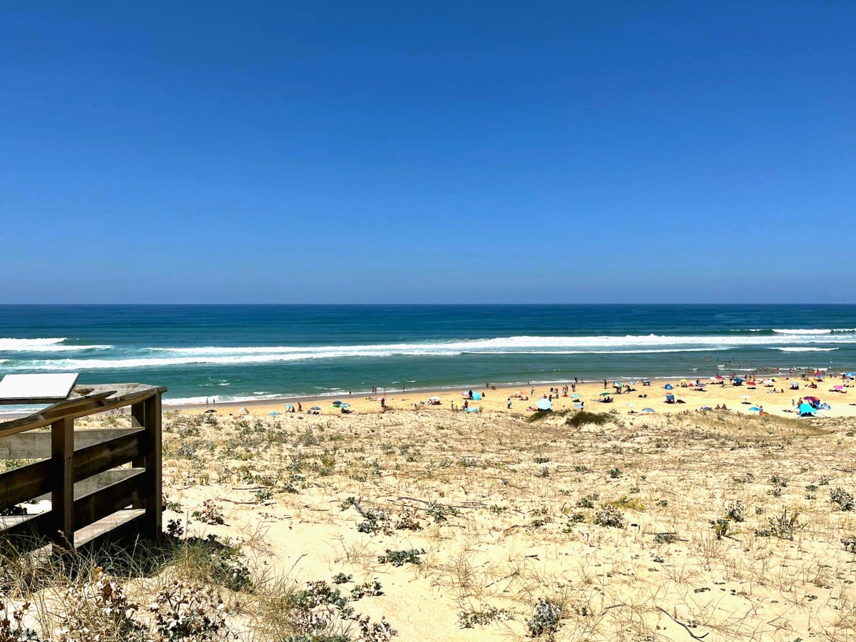 Кусочек дюны