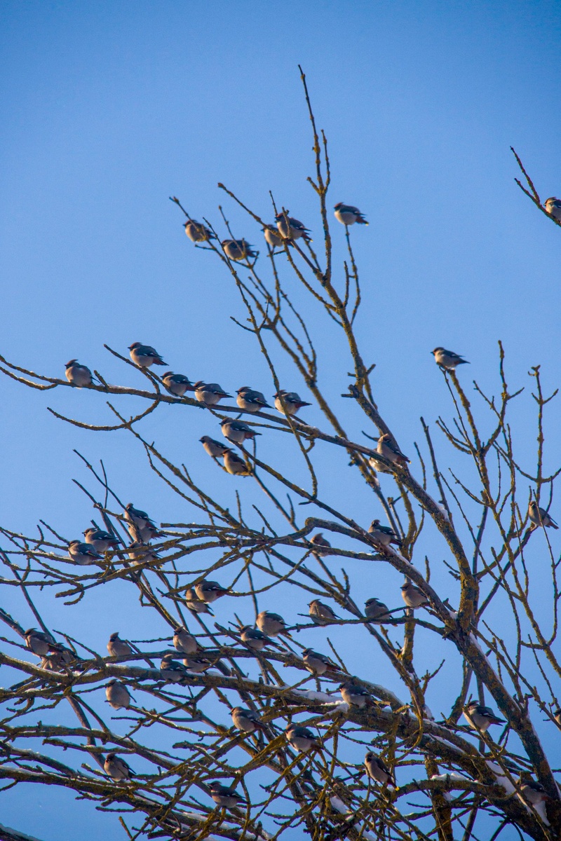 Фото: Александр Панов.