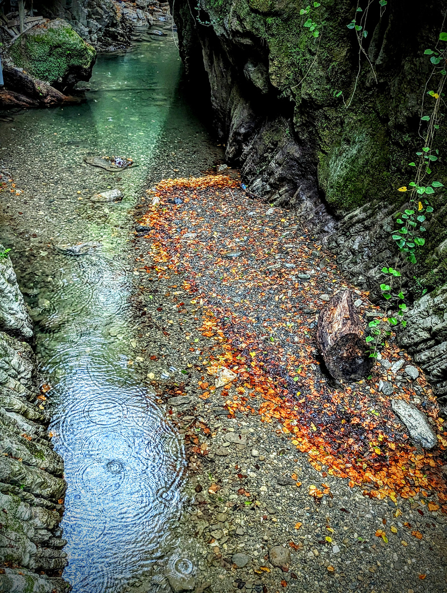 Дожди в ущельях Сочи