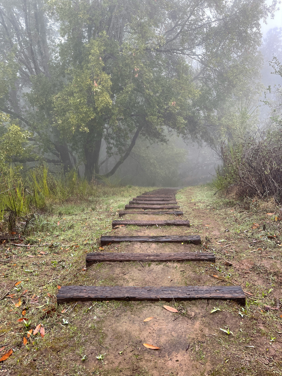"Потерпи ещё чуть-чуть, мы тебе укажем путь."(с) Фото: Unsplash