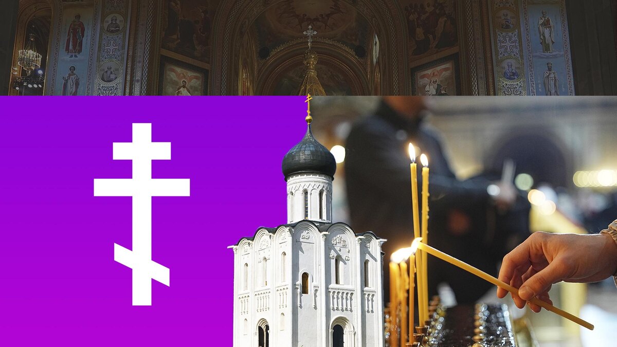 Коллаж 78.ru: ИЗВЕСТИЯ/Павел Волков, freepik, pngwing