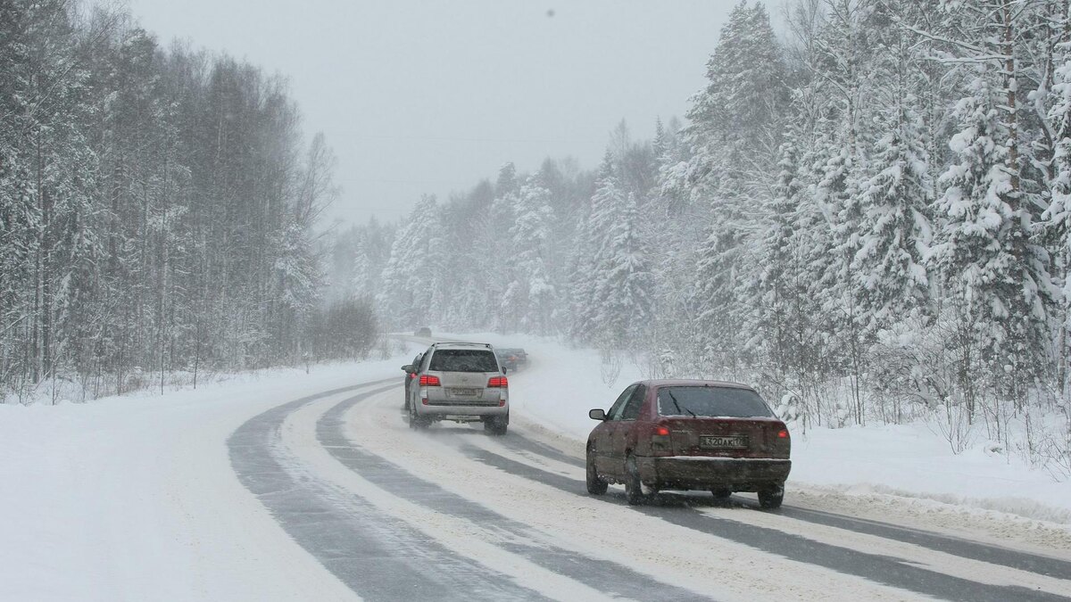    Фото: Global Look Press