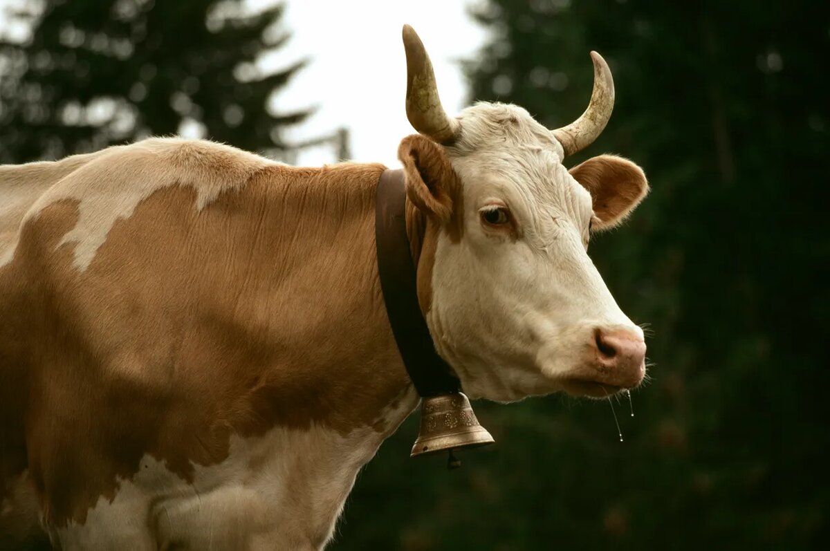    Источник изображения: ItRussia.Media