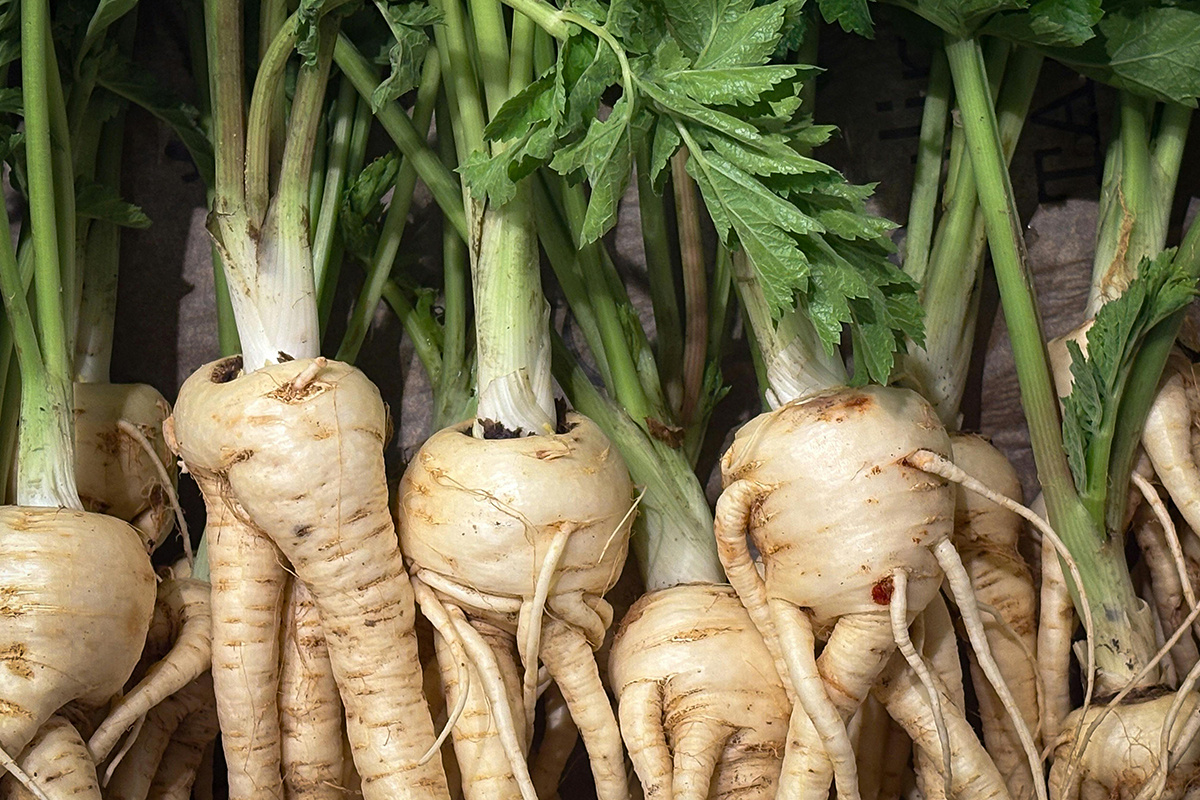 Иллюстративное фото pexels