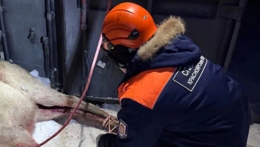   КГКУ «Спасатель»